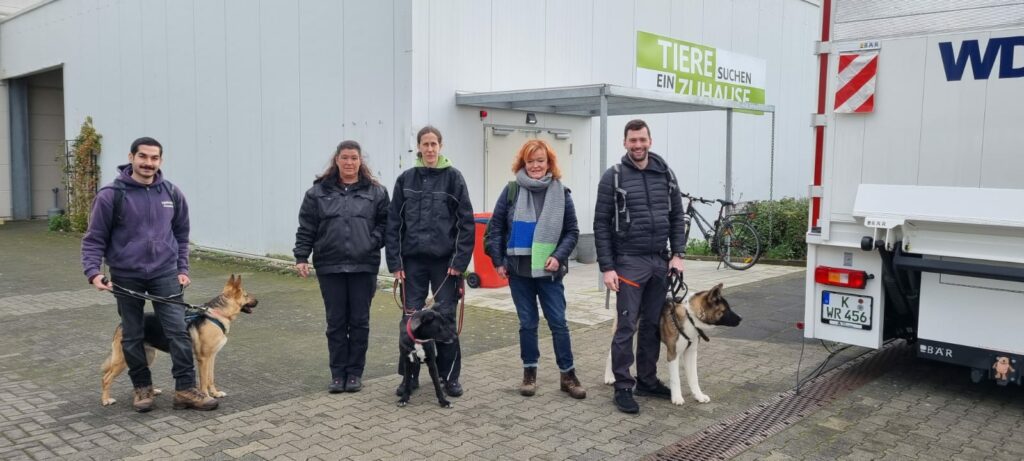 Tiere suchen ein Zuhause