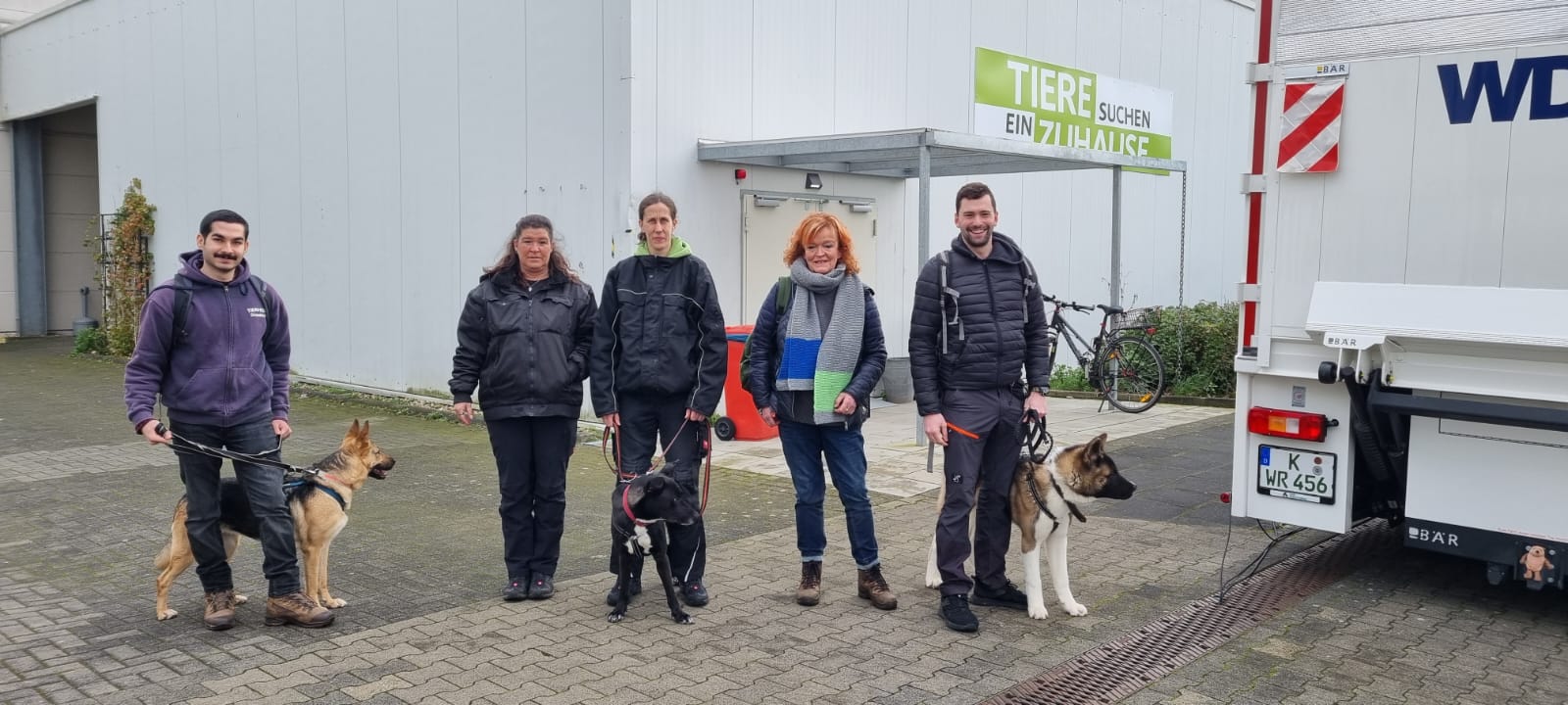 Tiere suchen ein Zuhause