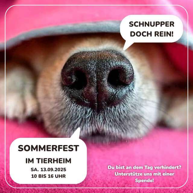 Sommerfest am 20.September 2025 im Tierheim - Schnupper doch rein